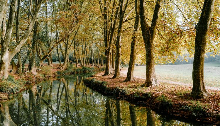 অসাধারণ এক প্রাকৃতিক দৃশ্য 1 অসাধারণ এক প্রাকৃতিক দৃশ্য 1