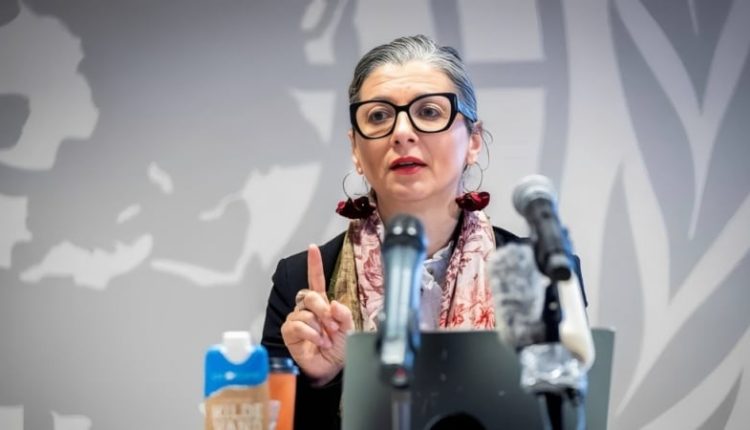 গাজা গণহত্যায় ৬৩টি দেশ জড়িত: সরকারগুলোকে আইনি পরিণতি নিয়ে সতর্কবার্তা 1 গাজা গণহত্যায় ৬৩টি দেশ জড়িত: সরকারগুলোকে আইনি পরিণতি নিয়ে সতর্কবার্তা 1