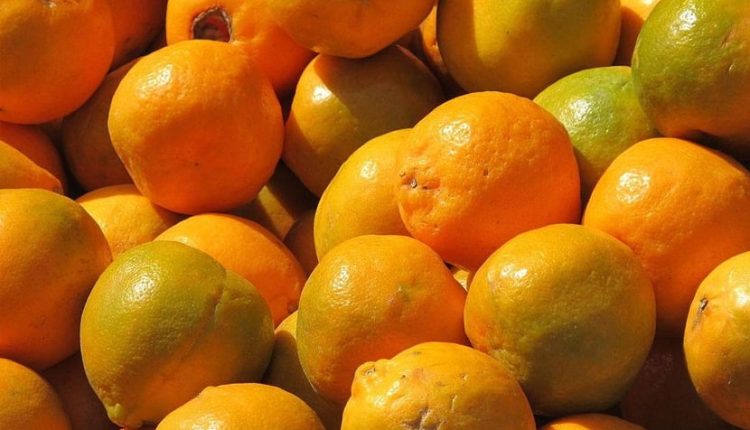 কমলা লেবু আমাদের শরীরে কী কী উপকার করে 1 কমলা লেবু আমাদের শরীরে কী কী উপকার করে 1