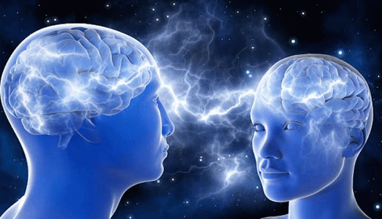 খাদ্যাভাসের কারণে কী মস্তিষ্ক ছোট হতে পারে? 1 খাদ্যাভাসের কারণে কী মস্তিষ্ক ছোট হতে পারে? 1