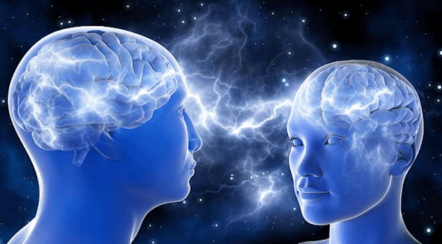 খাদ্যাভাসের কারণে কী মস্তিষ্ক ছোট হতে পারে? 1