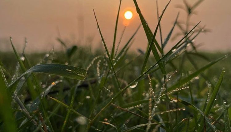 শুভ নববর্ষ- স্বাগতম ২০২৬ সাল 1 শুভ নববর্ষ- স্বাগতম ২০২৬ সাল 1