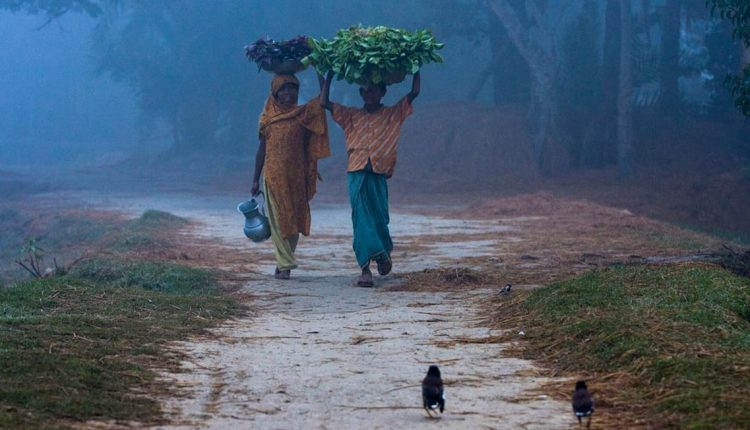 কুয়াশাচ্ছন্ন শীতের শুরু 1 কুয়াশাচ্ছন্ন শীতের শুরু 1
