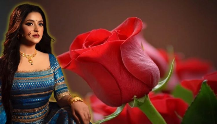 নতুন বছর সিনেমা ‘গোলাপ’ উপহার দিবেন পরীমণি 1 নতুন বছর সিনেমা ‘গোলাপ’ উপহার দিবেন পরীমণি 1