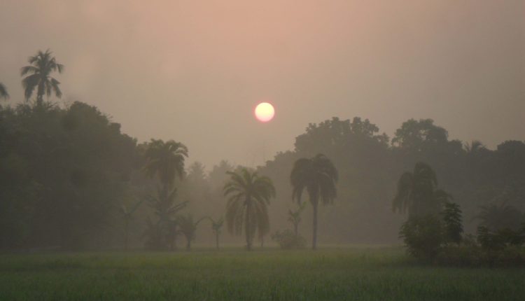 এক শীতের সকাল 1 এক শীতের সকাল 1