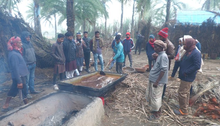 খেজুরের রস দিয়ে গুড় বানানোর দৃশ্য 1