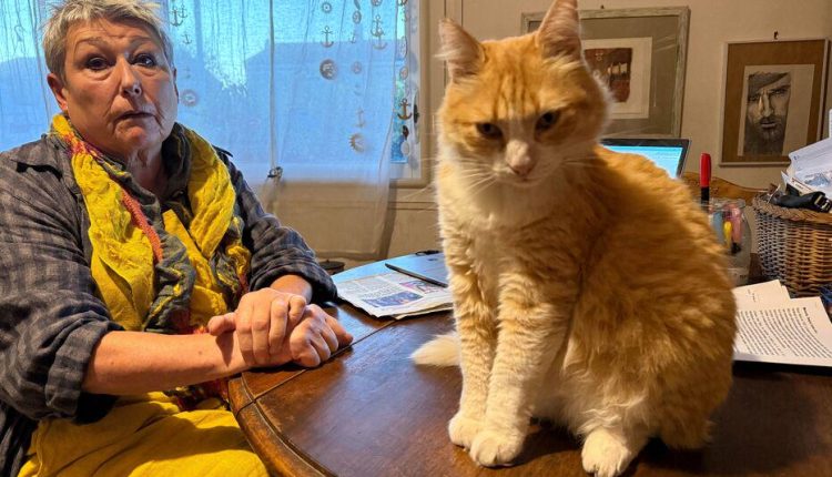 ফরাসি মহিলা ও তার ঘুমন্ত বিড়ালের কারণে জরিমানা 1 ফরাসি মহিলা ও তার ঘুমন্ত বিড়ালের কারণে জরিমানা 1