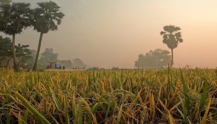 শীতের সকালে গ্রামের দৃশ্য 1
