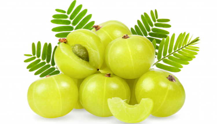 আমলকি আমাদের স্বাস্থ্যের কী কী উপকার করে 1