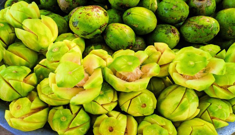 আমড়ার পুষ্টিগুণ জেনে নিন 1 আমড়ার পুষ্টিগুণ জেনে নিন 1